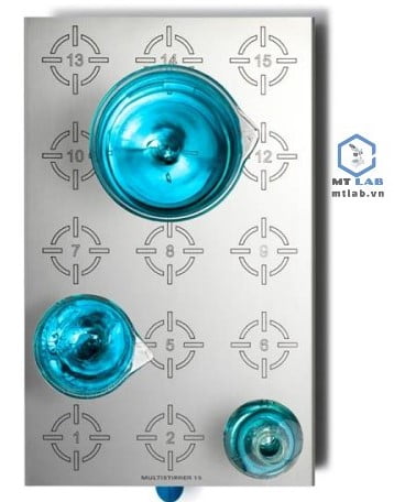 Máy khuấy từ 15 vị trí MultiStirrer15