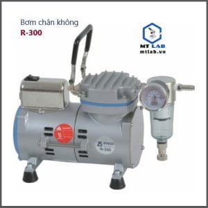 bơm chân không r-300