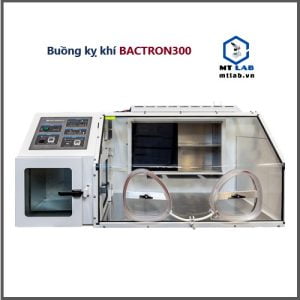 buồng nuôi cấy kỵ khí bactron300