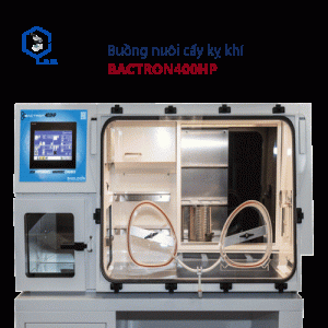 buồng nuôi cấy kỵ khí bactron400hp