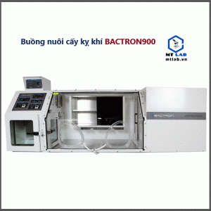 buồng nuôi cấy kỵ khí bactron900